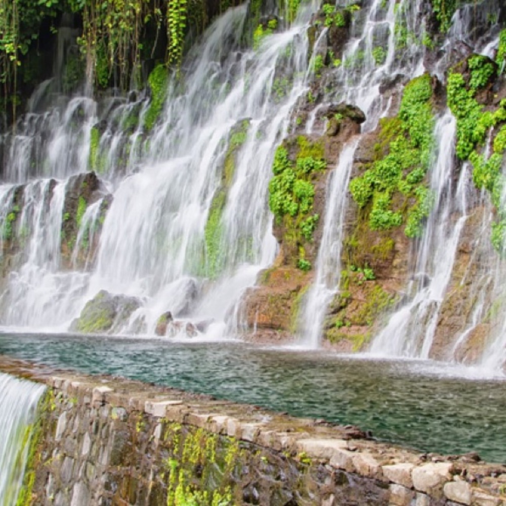 Meet your Posher, Tula